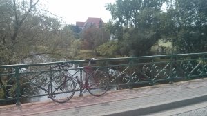 011_D2_Nienburg_Bode_Basso_20150811