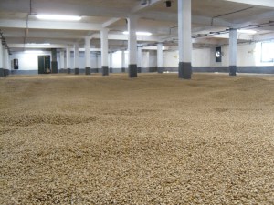 #Laphroaig Malzboden