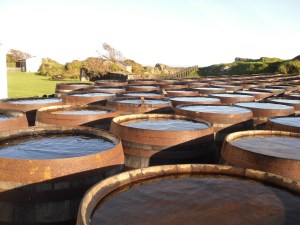 #Ardbeg Fässer