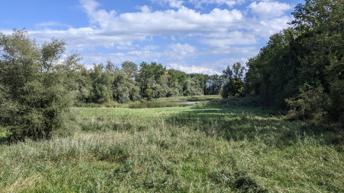 047_Altenrhein_20220920