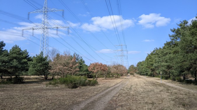 002_RundUmBaWü_ViernheimerHeide_20220306