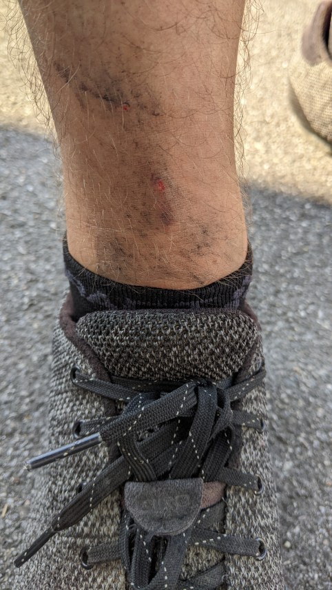 075_Bregenz_Stefan_20230909